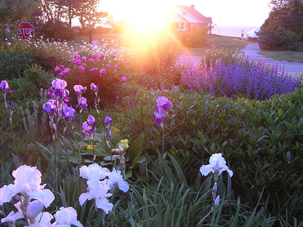 Shorecrest Bed And Breakfast Southold Buitenkant foto