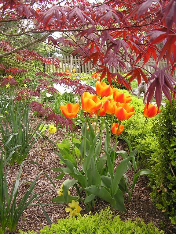 Shorecrest Bed And Breakfast Southold Buitenkant foto